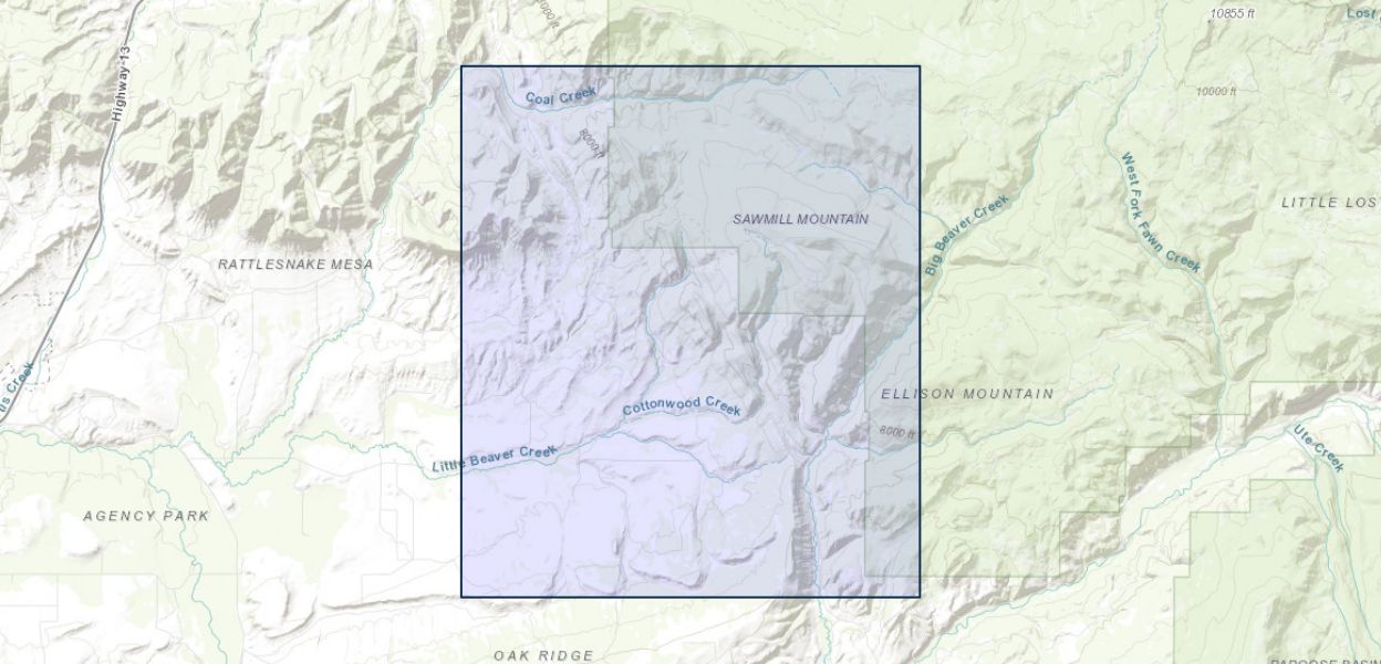 Geologic map and coal sections of the Sawmill Mountain Quadrangle, Rio