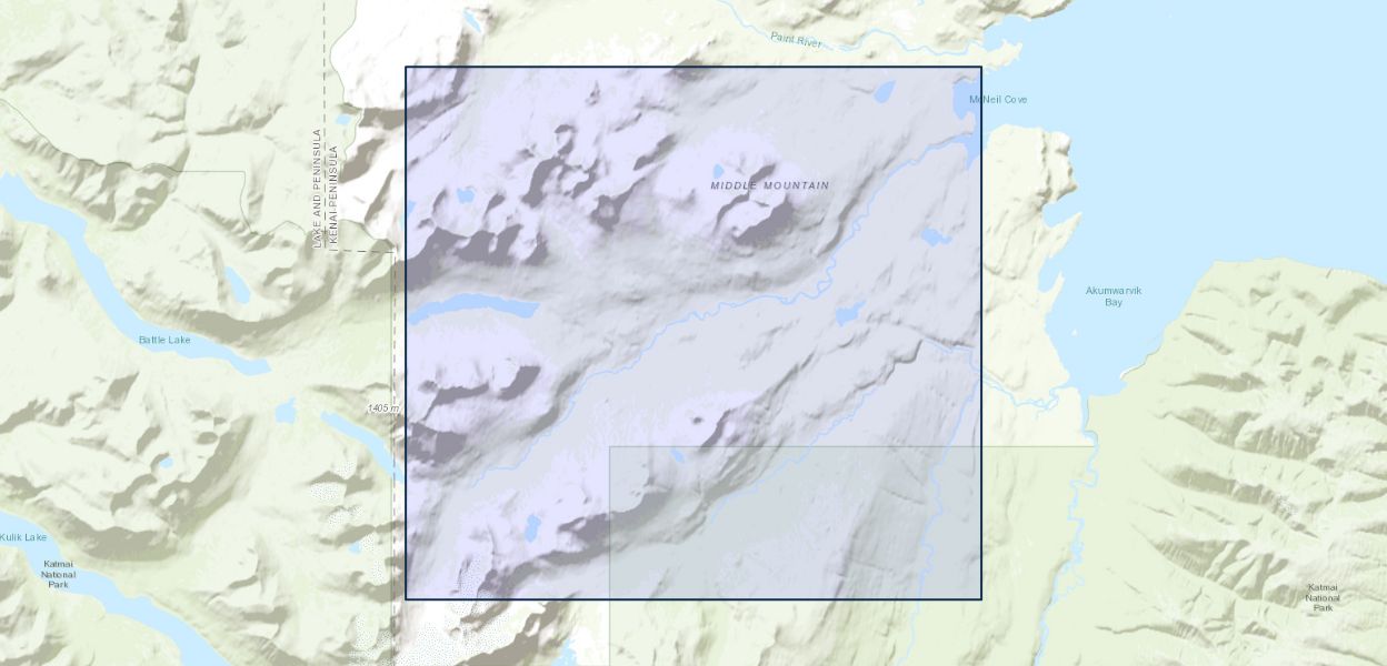 Map Thumbnail