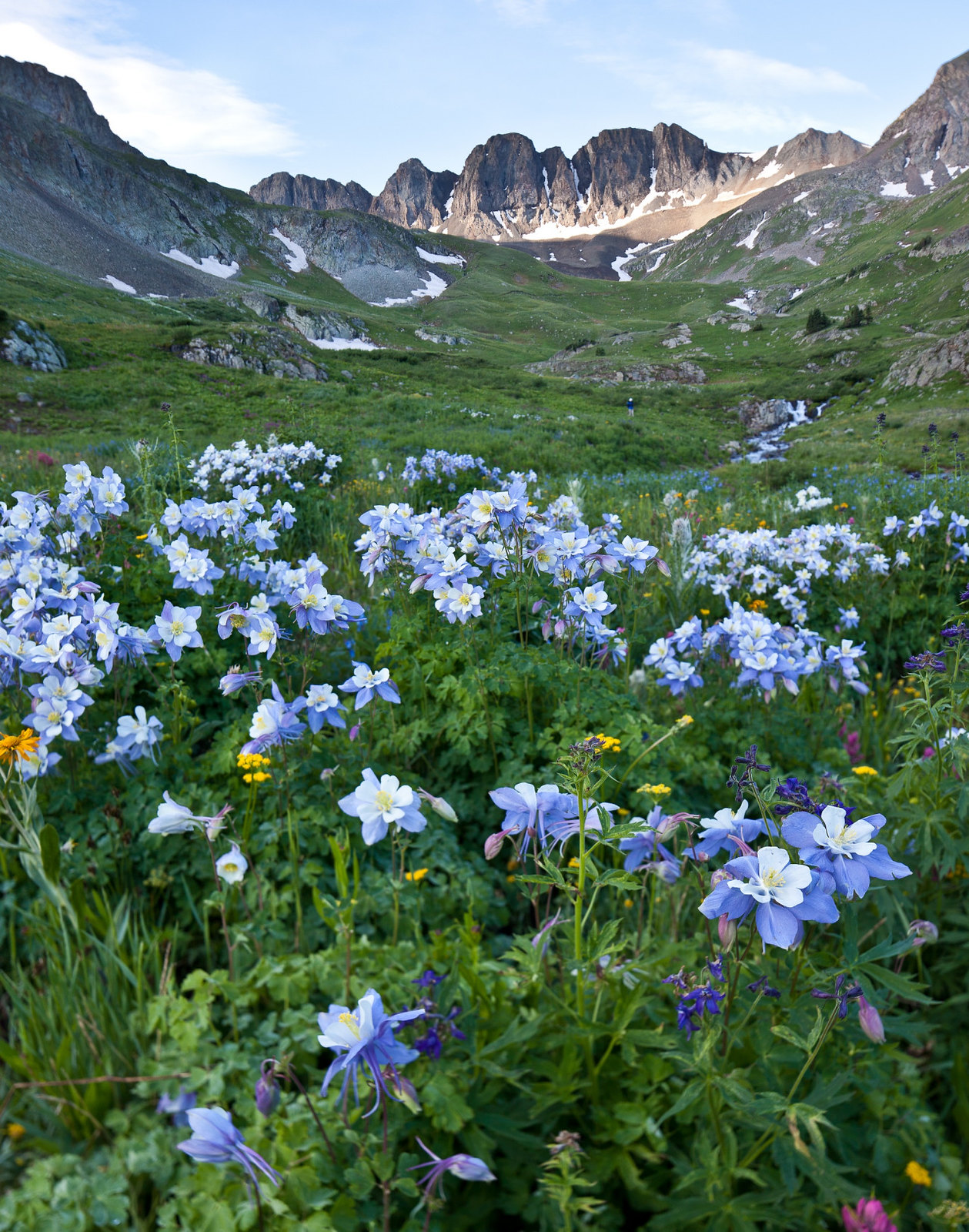 Red Cloud Peak, Colorado U.S. Geological Survey
