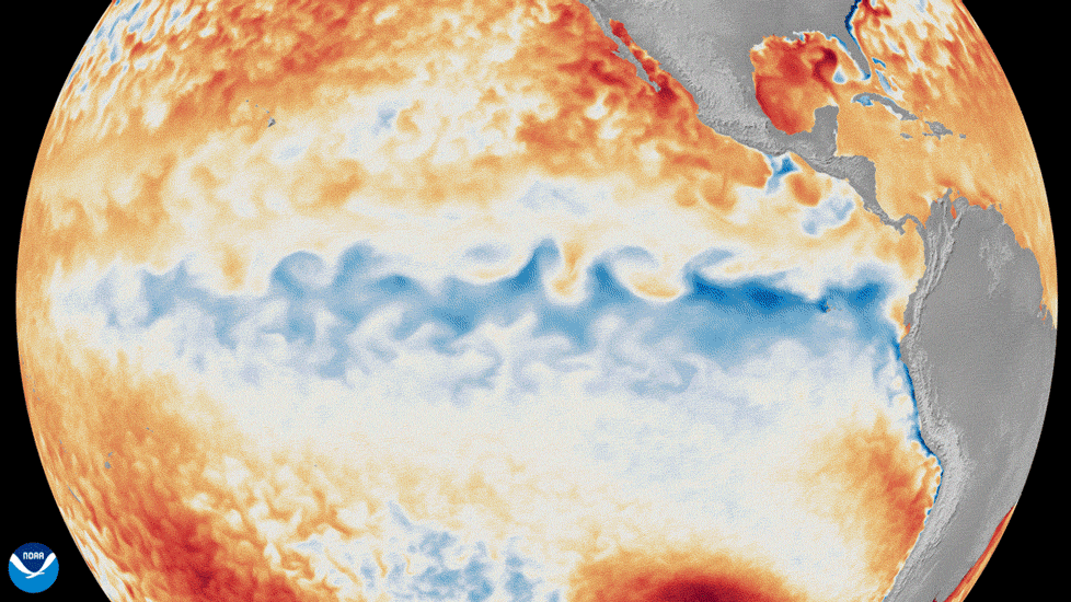 Animation of changes in sea surface temperature in the Pacific Ocean, represented by oranges, reds, and blues