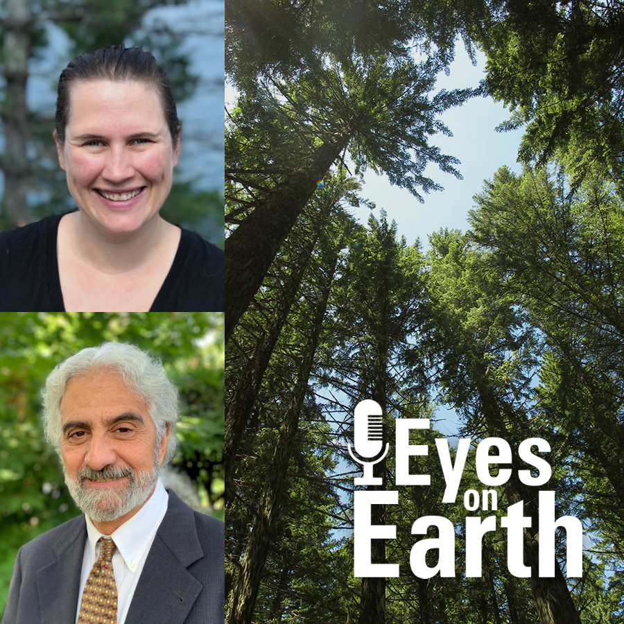 Eyes on Earth
