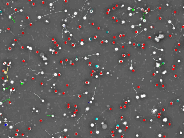 An animated gif with red, white, green, and blue circles with white lines moving on a dark background