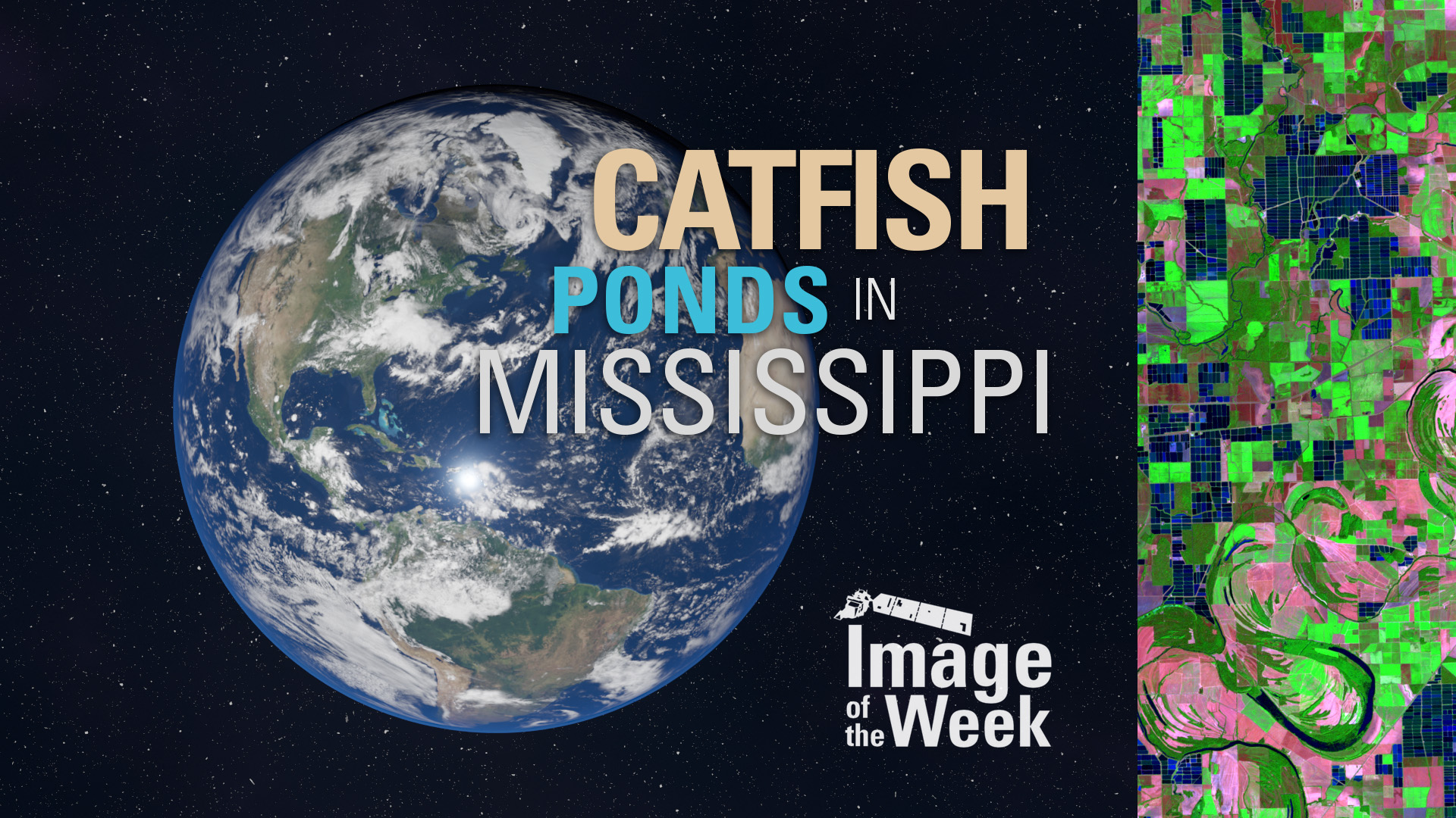 IOW Catfish Ponds in Mississippi U.S. Geological Survey