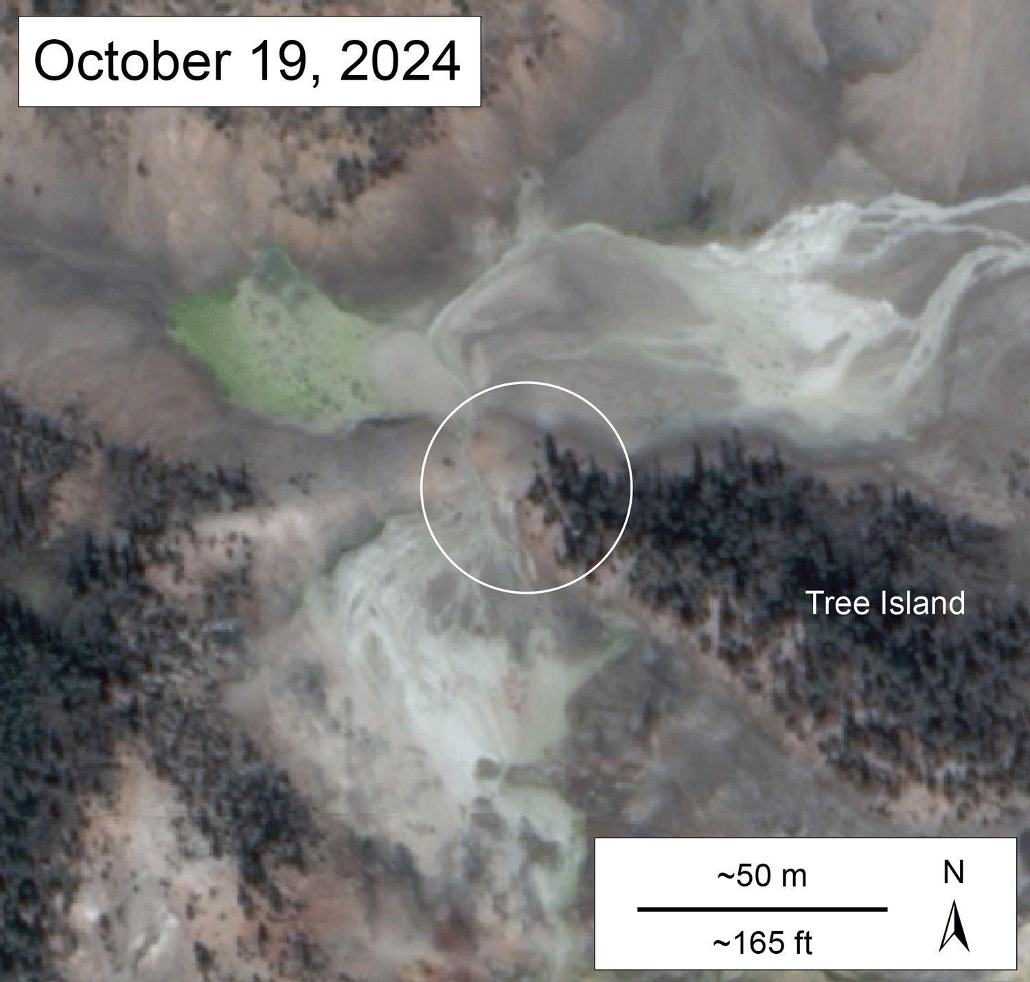 Tree-Island-feature-formation-small.gif (1500×1429)