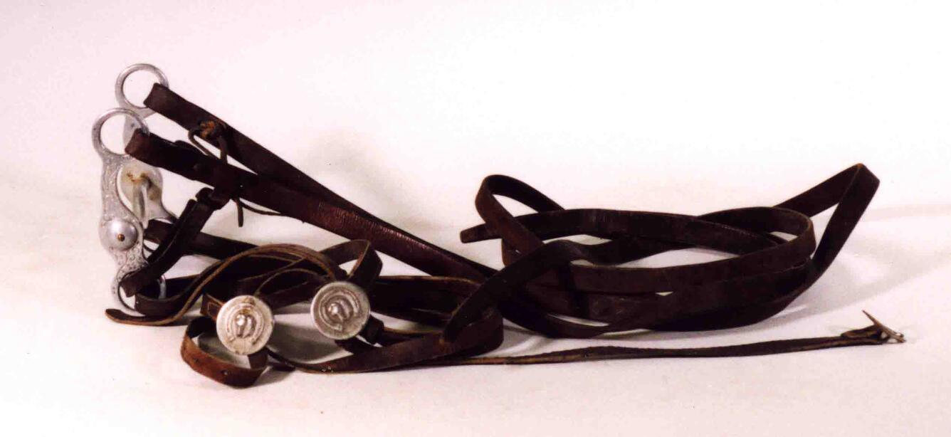 Image: Arnold Hague's Bridle