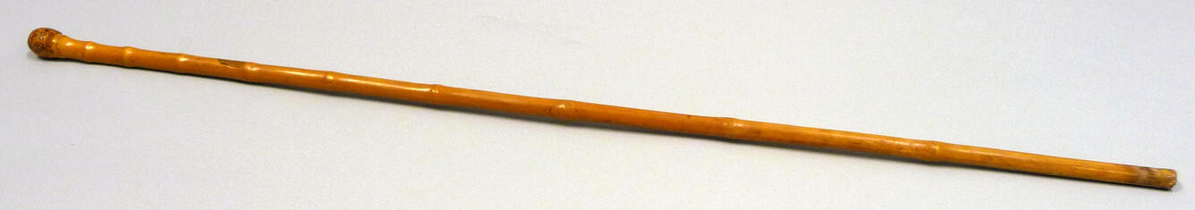 Image: Bamboo Pointer belonging to Levi F. Noble 