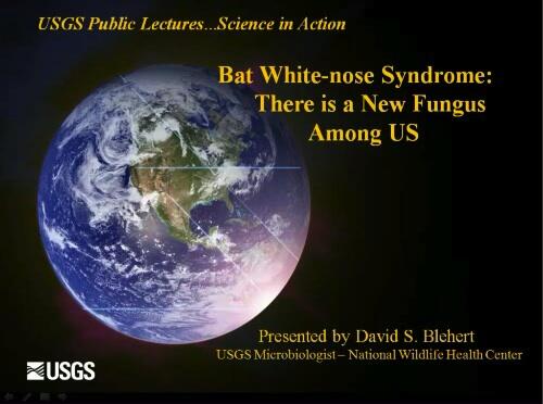 video thumbnail: Bat White-nose Syndrome: There is a New Fungus Among Us By Dr. David Blehert