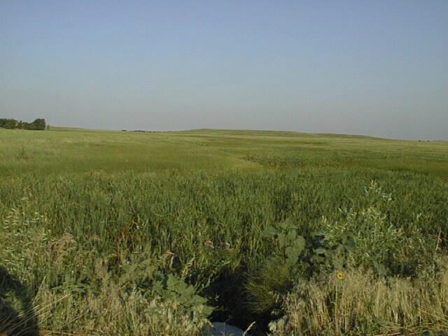 Image: Sand Creek near Olsonville, SD