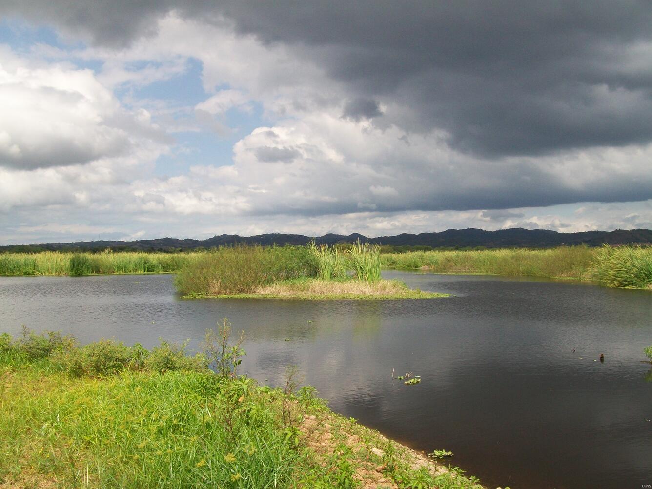 Image: Laguna Cartagena USFWS Wildlife Refuge