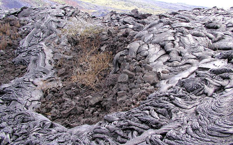 photo of lava