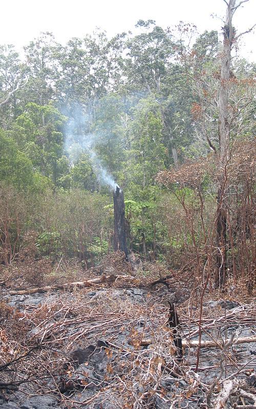 photo of lava