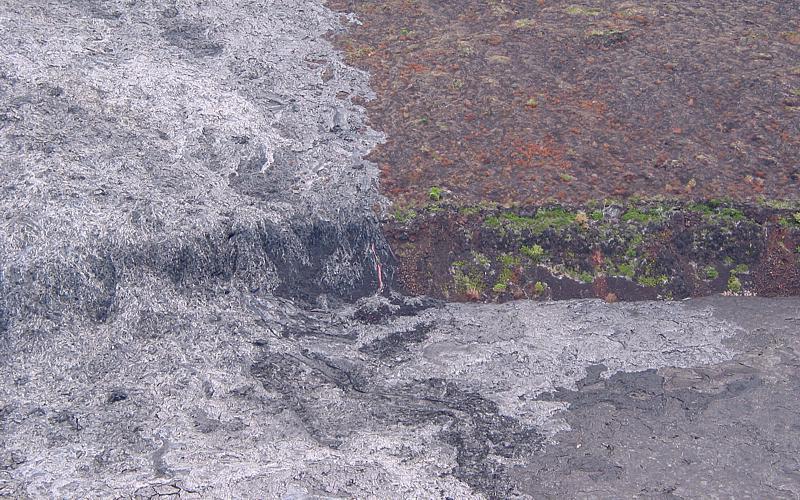photo of lava