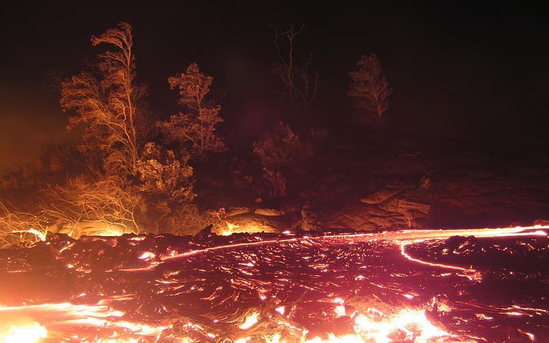 Tree front-lighted by lava flow