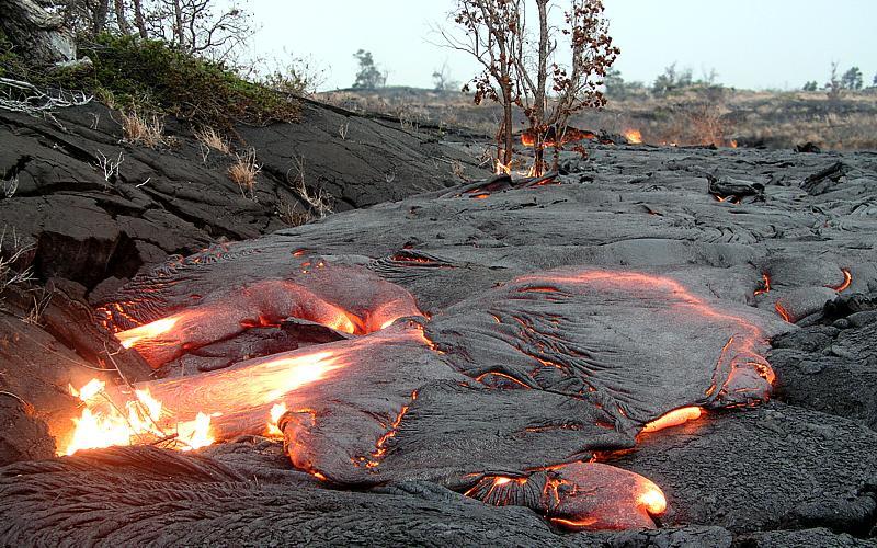 Lava blocked by vegetation