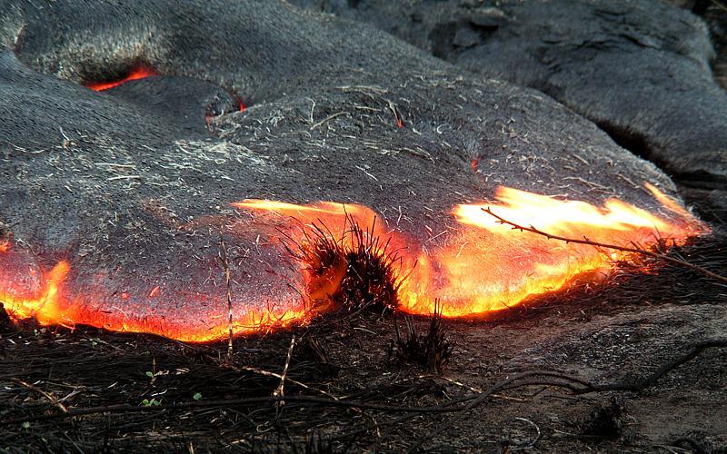 Moving lava toe split by, and now enveloping, clump of grass