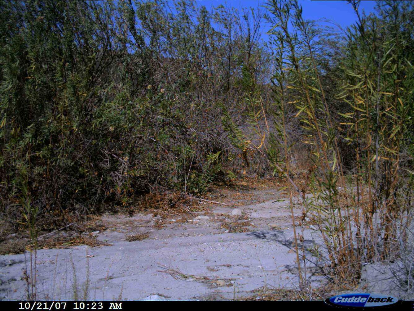 Image: No Title Available