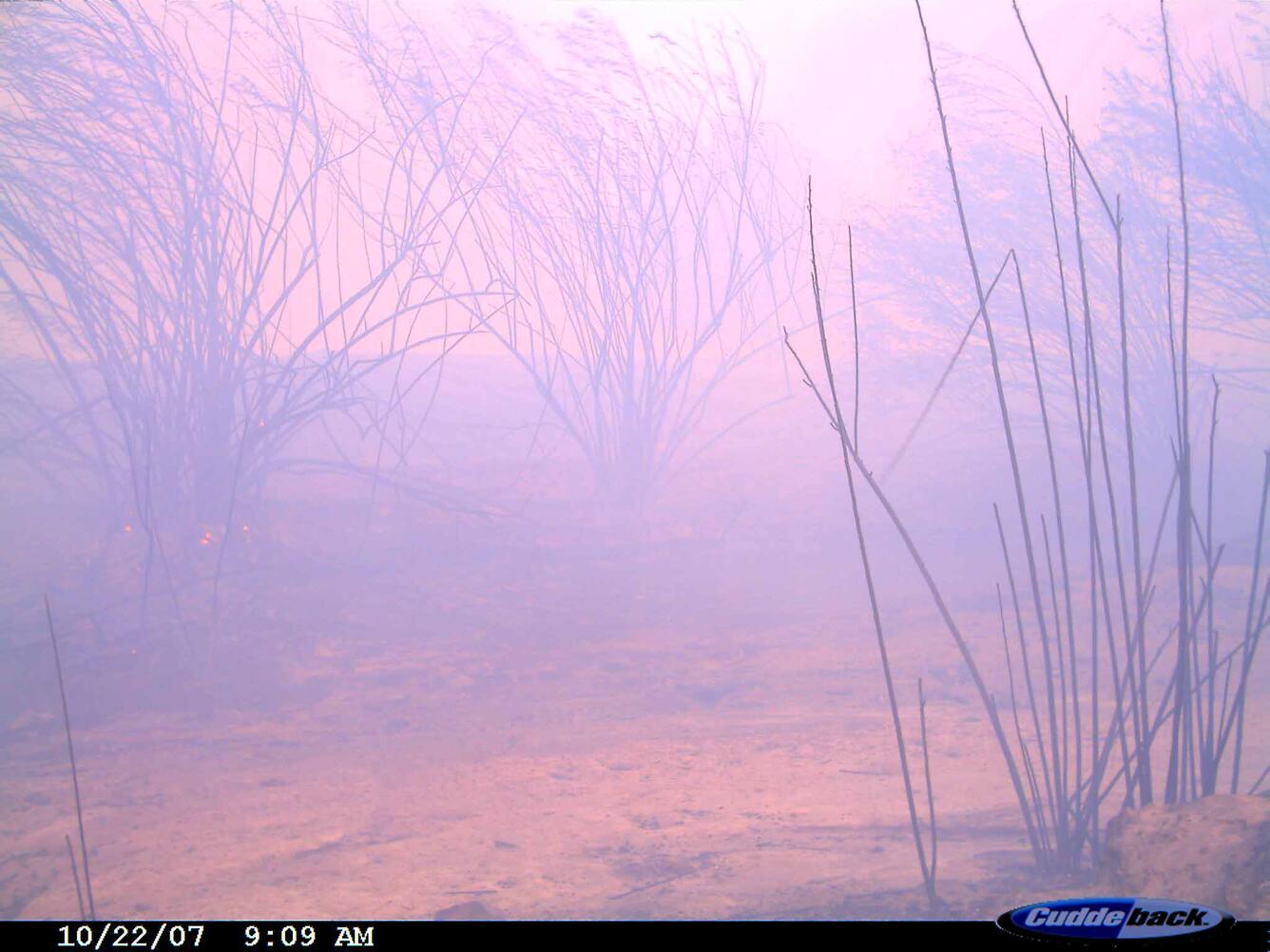 Image: No Title Available