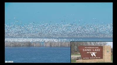 video thumbnail: Radar is for the Birds