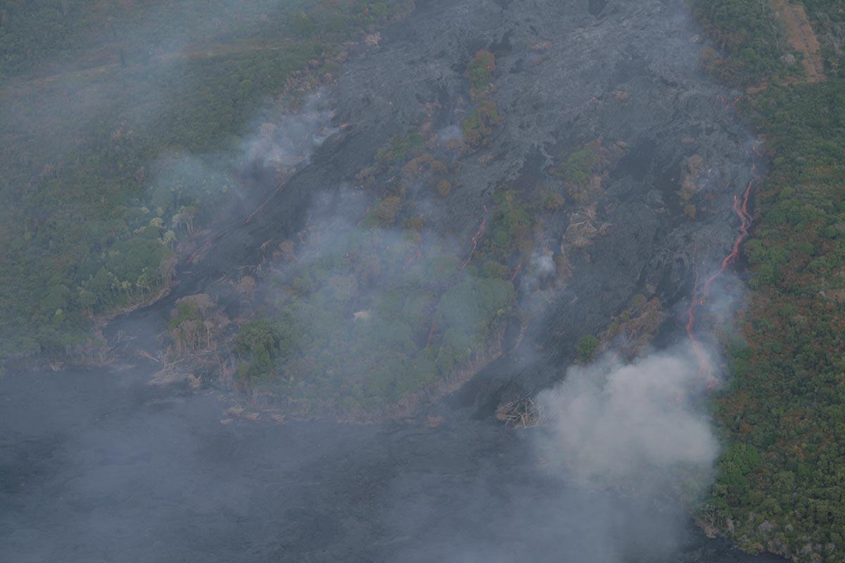 Image: Lava Flow in Vegetation