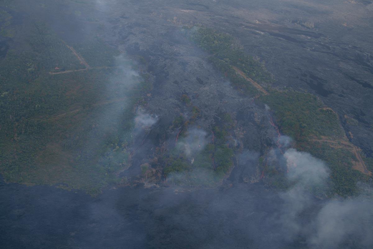 Image: Lava Flow in Vegetation