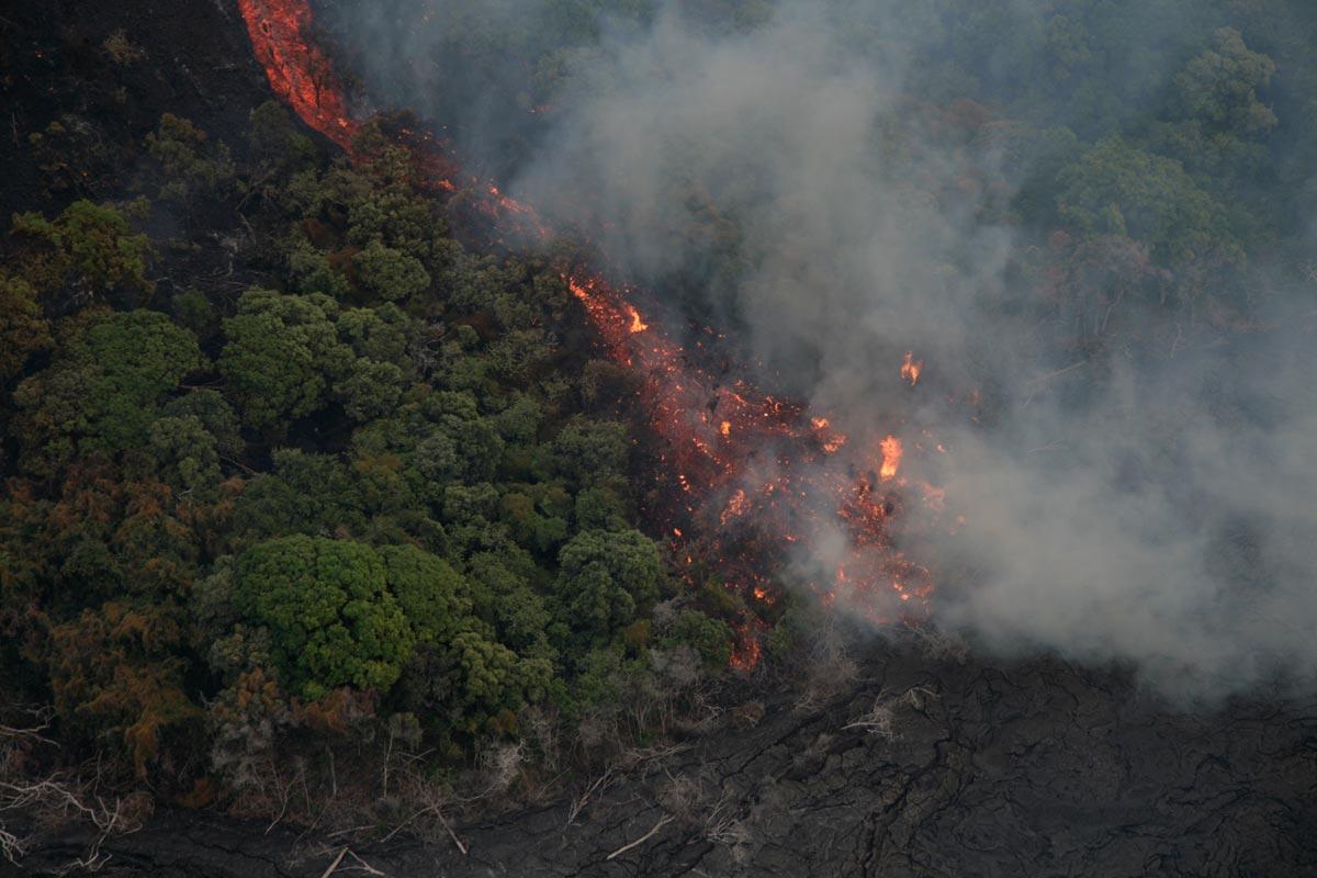 Image: Lava Flow in Vegetation