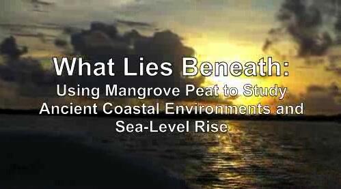 video thumbnail: What Lies Beneath: Using Mangrove Peat to Study Ancient Coastal Environments and Sea-Level Rise