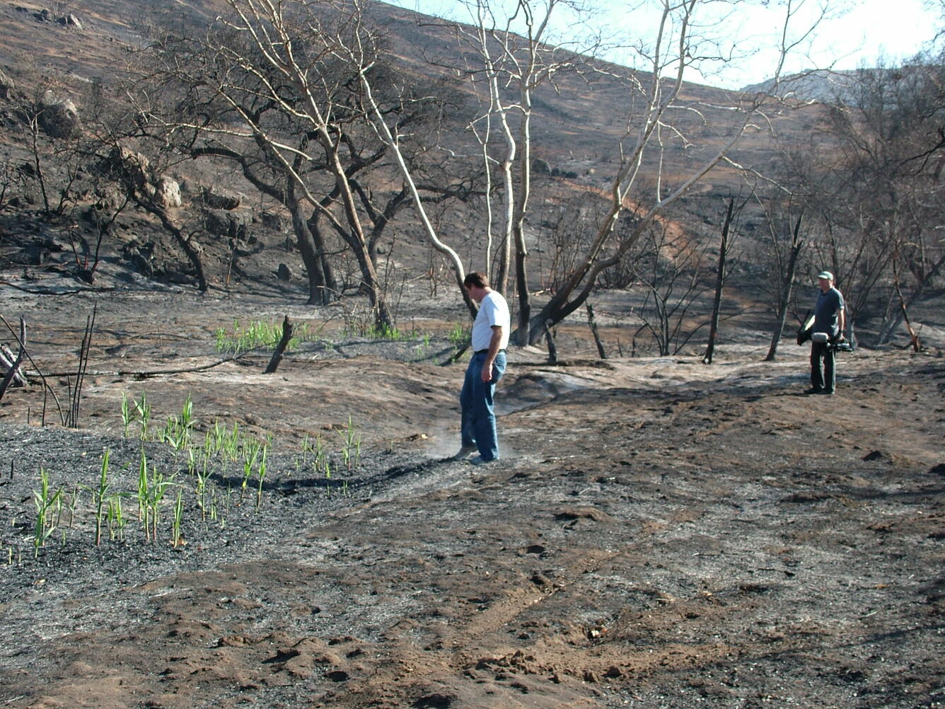 Image: No Title Available