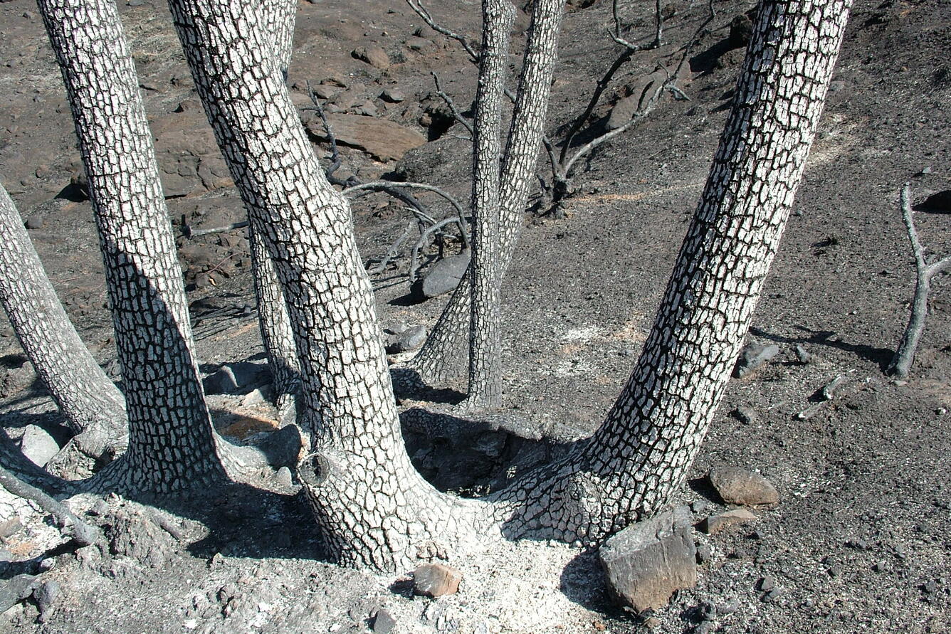 Image: No Title Available