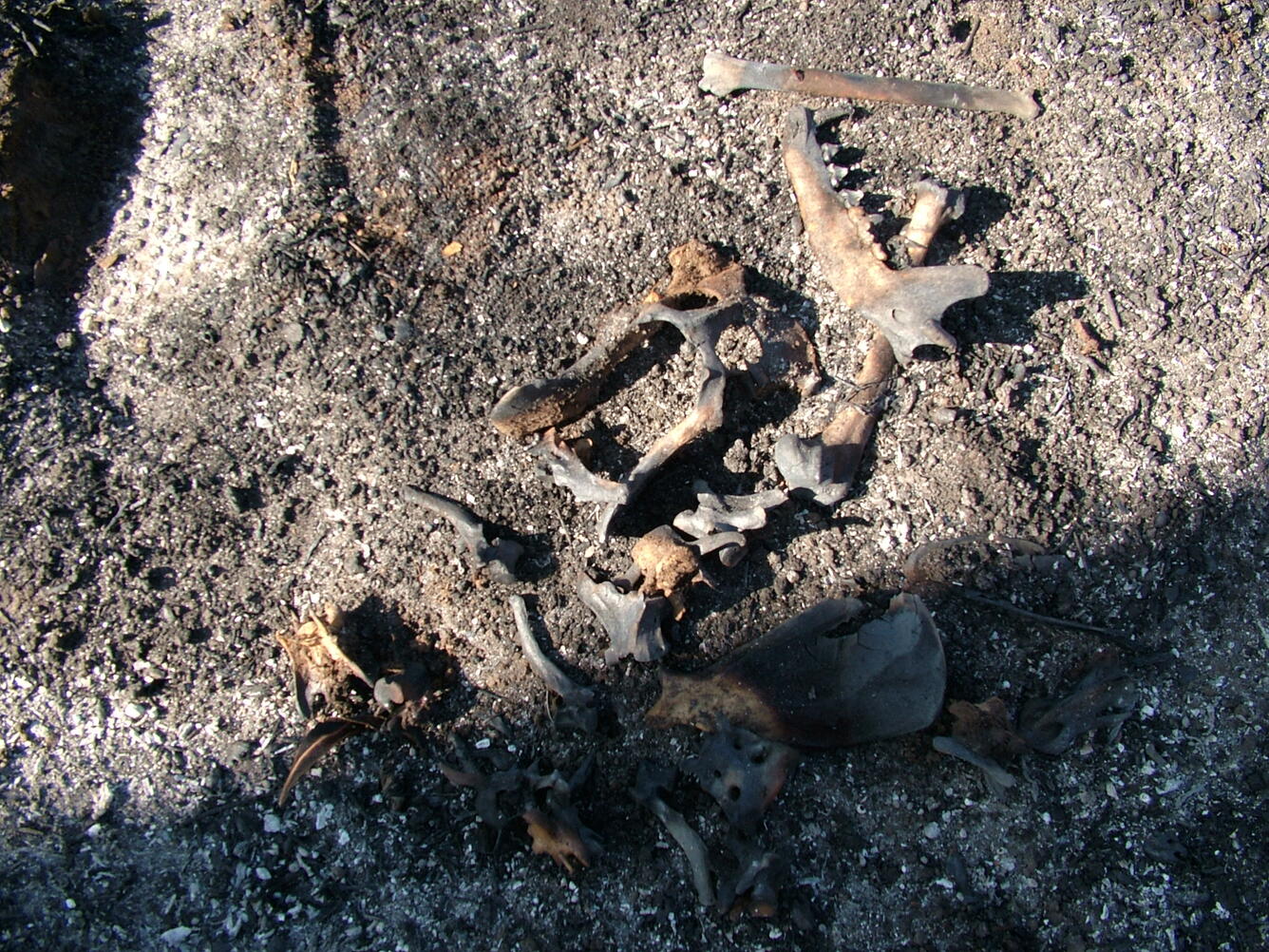 Image: No Title Available