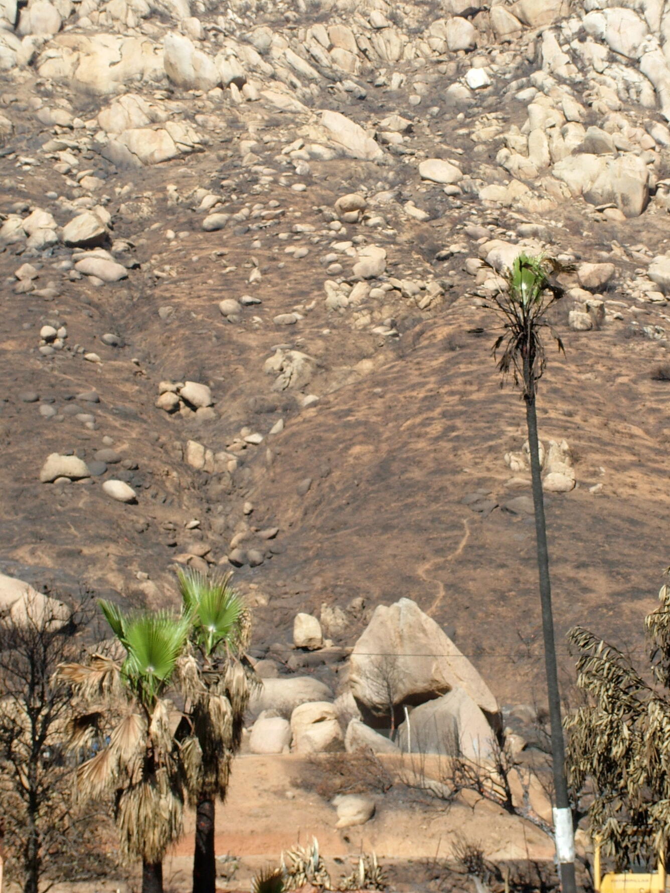 Image: No Title Available