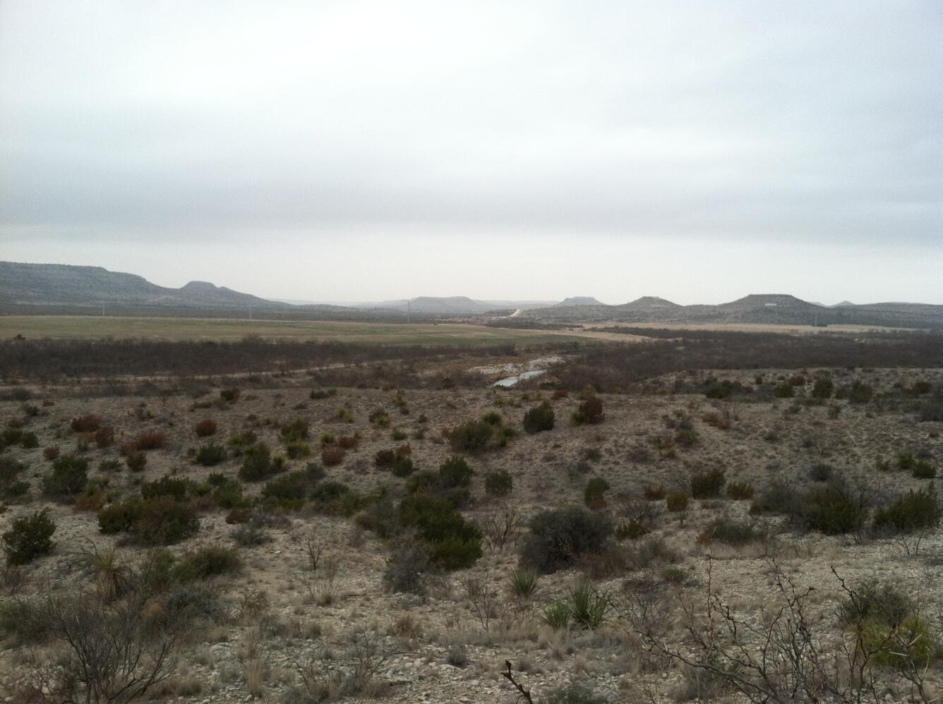 Farmland, Pecos River at River Road, TX - landscape view