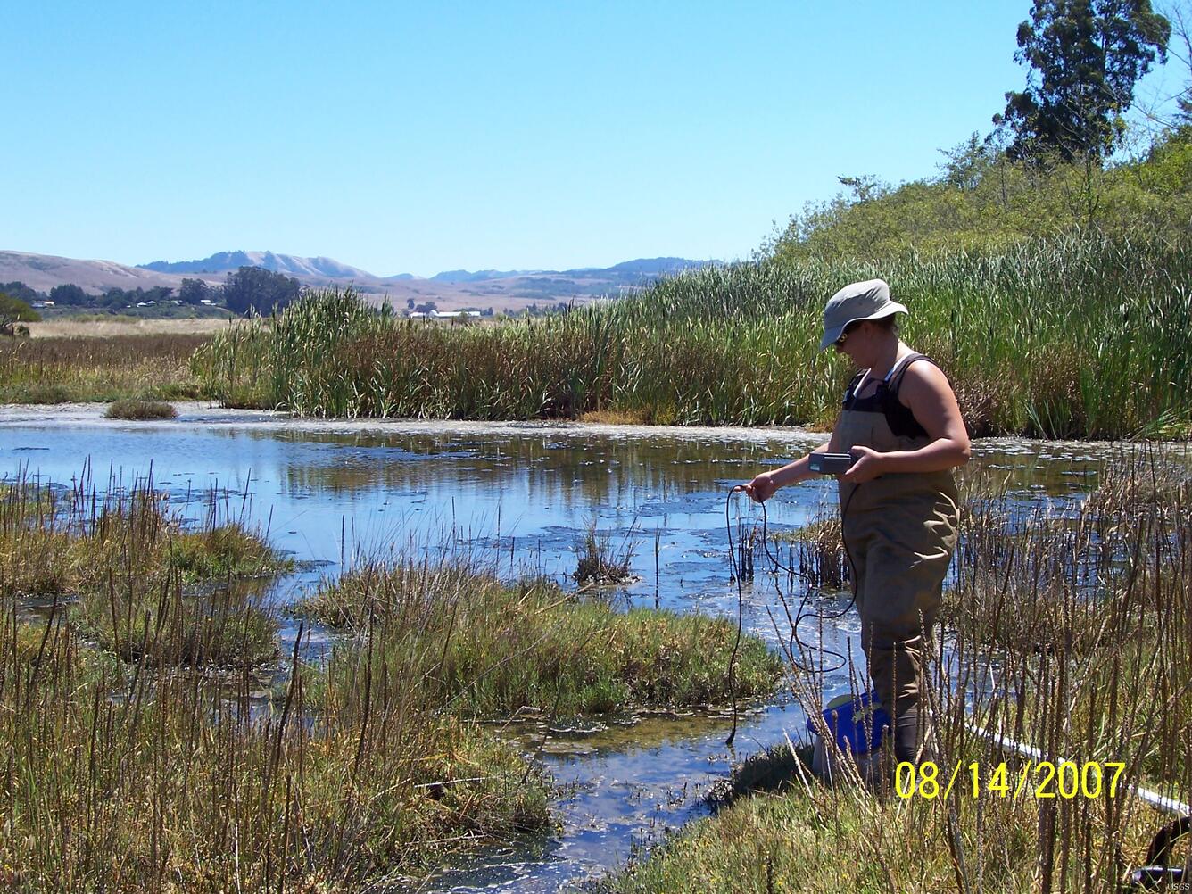 Image: Water Quality Sampling