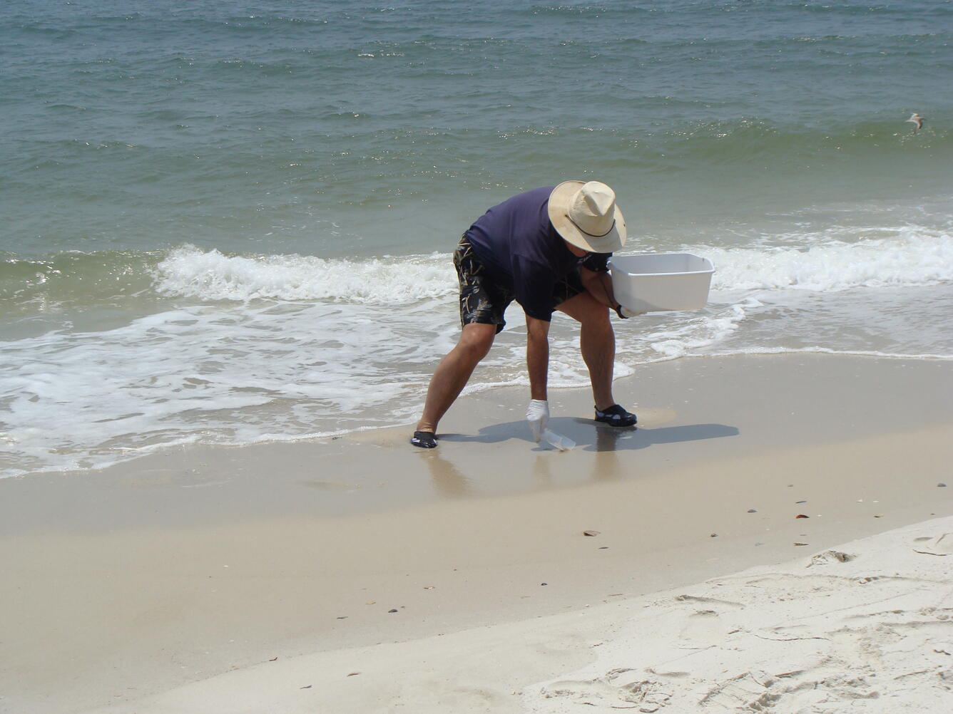 Image: Sand Sampling