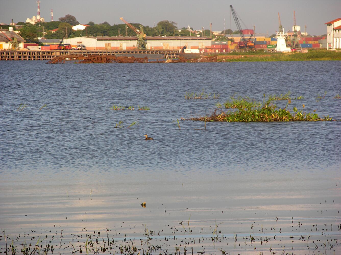 Image: Wetland in Asuncion Bay