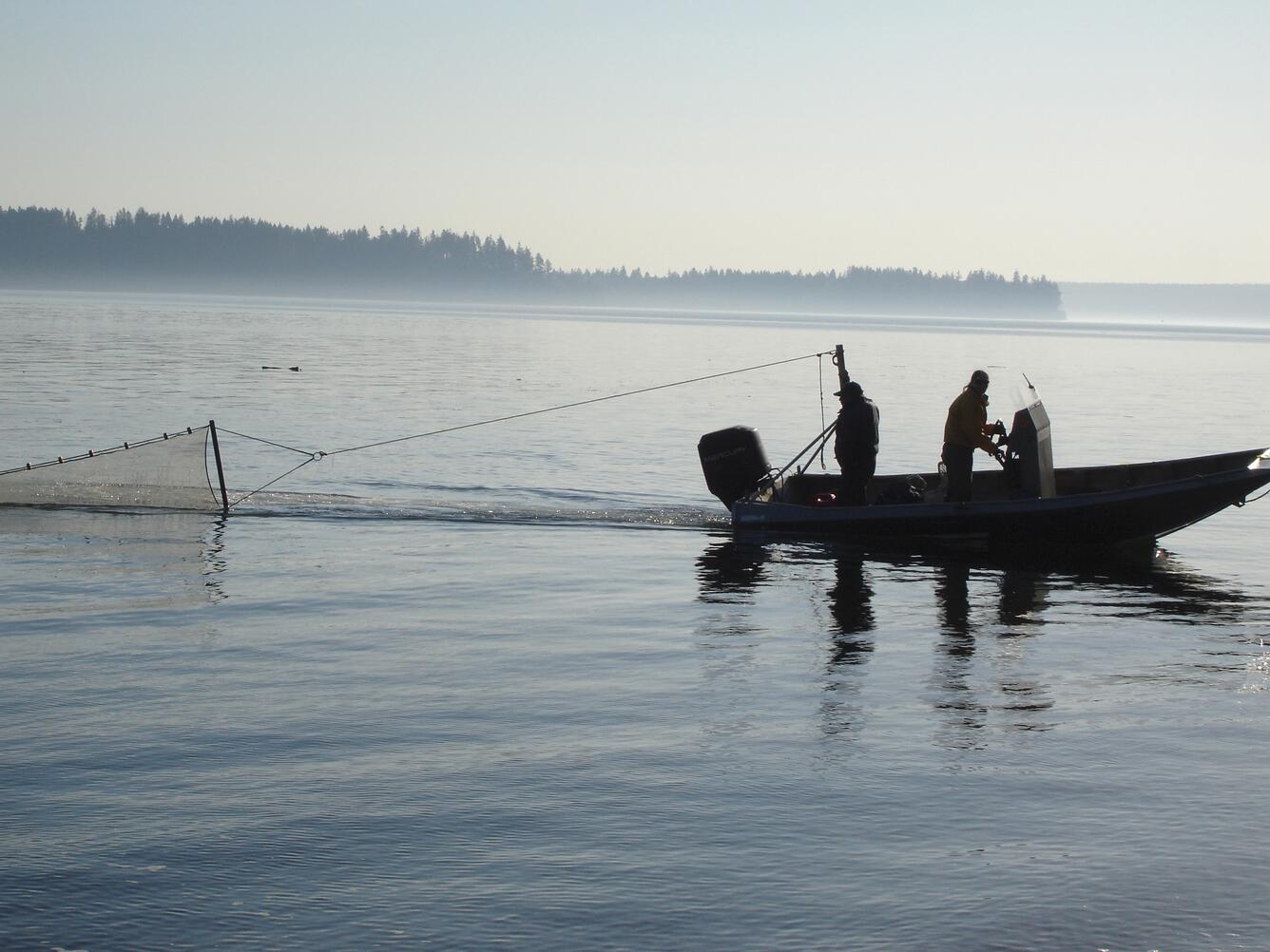 Image: Setting a Beach Seine