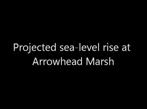 video thumbnail: Sea-level Rise Scenario for San Francisco Bay Estuary - Arrowhead Marsh
