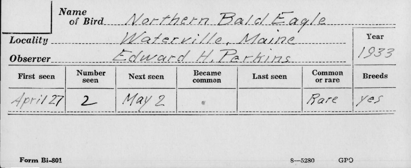 Image: Bird Migration Card - 1933