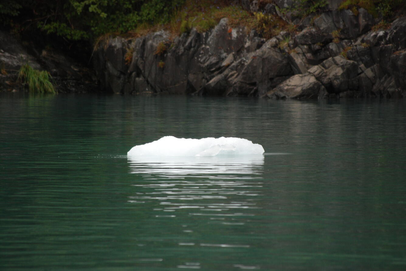 Image: No Title Available