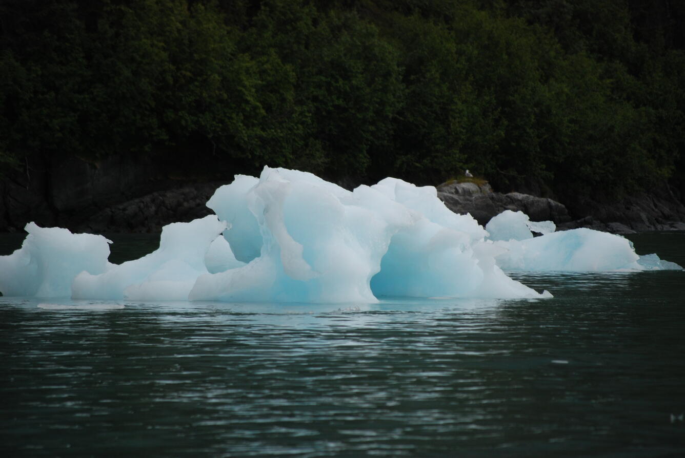 Image: No Title Available