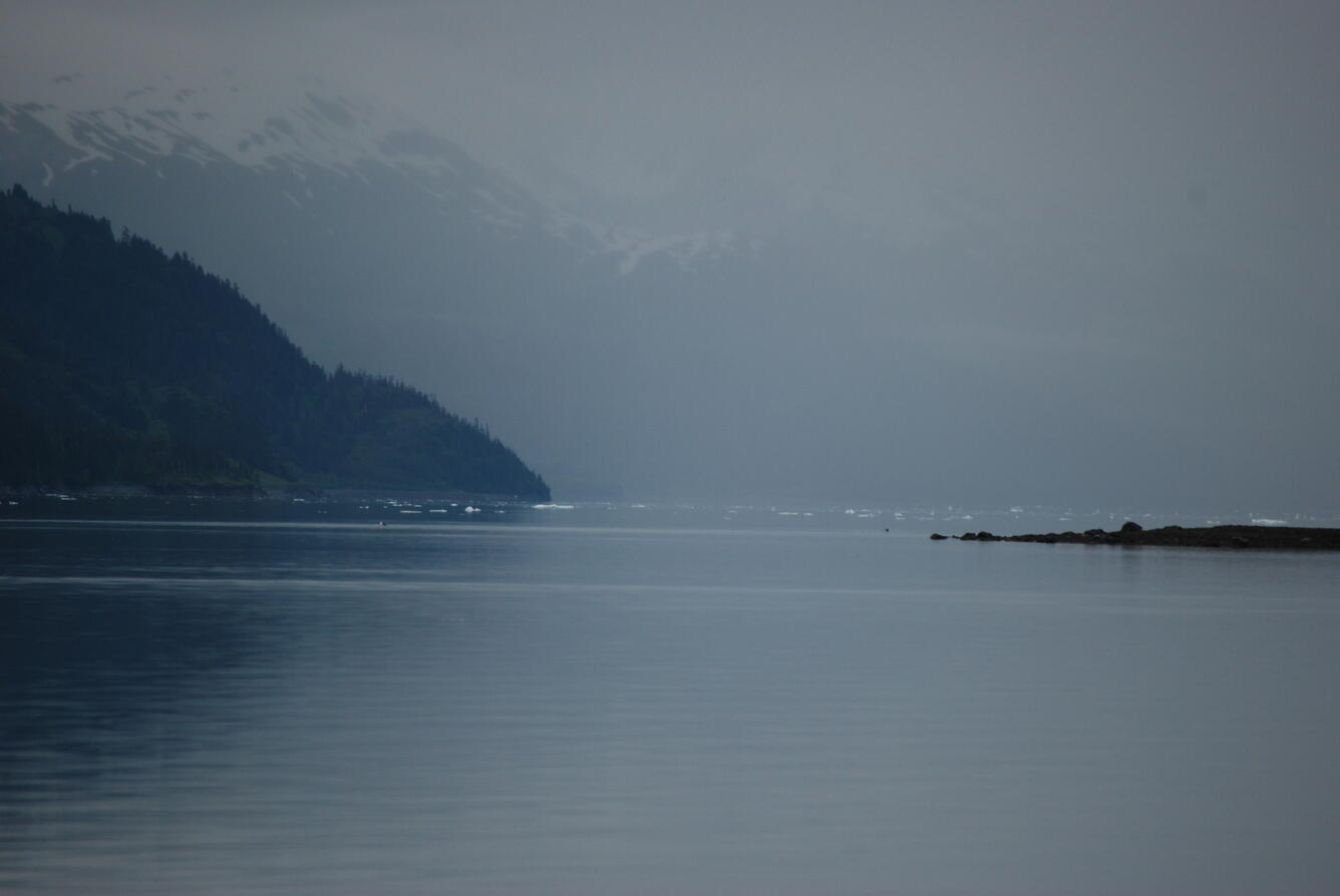 Image: No Title Available