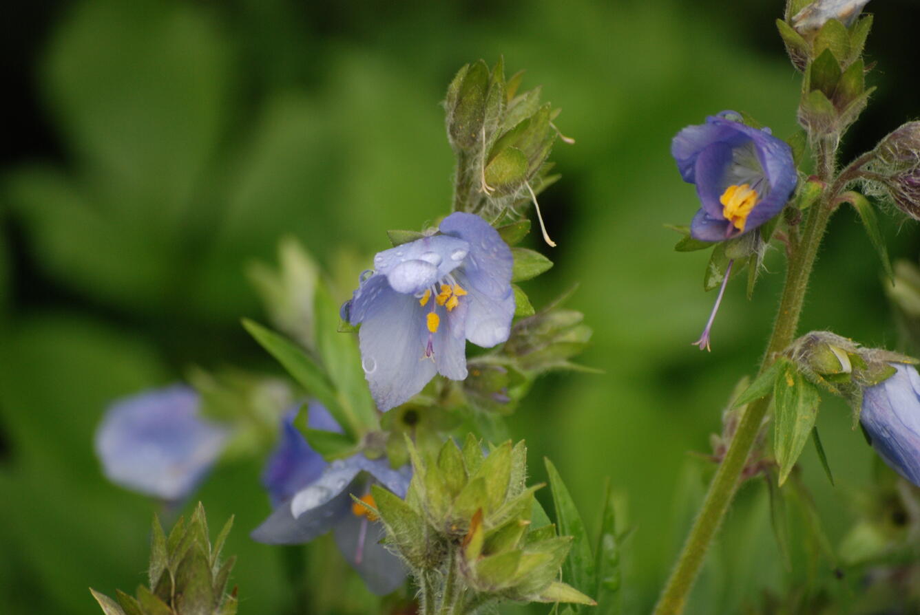 Image: No Title Available