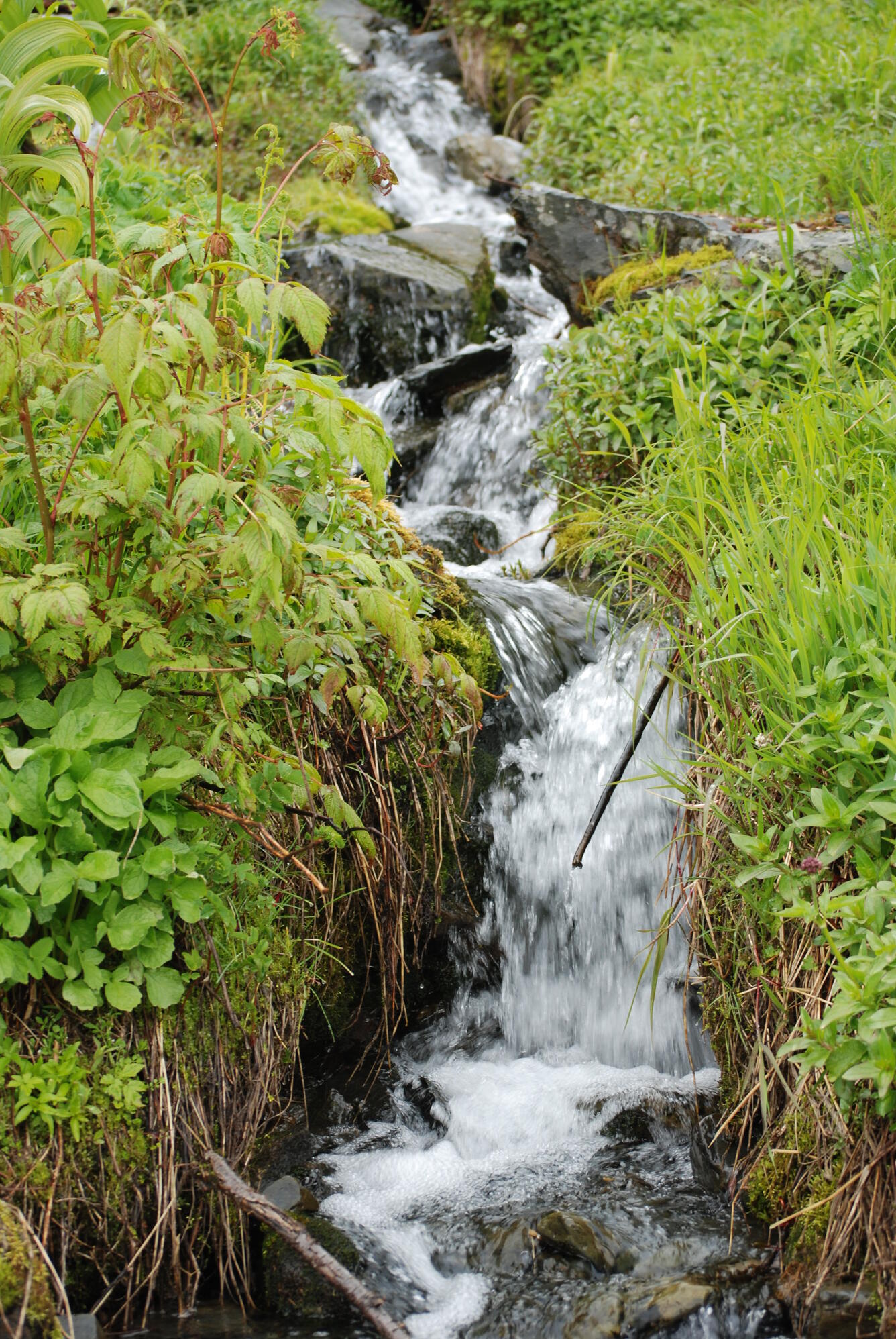 Image: No Title Available