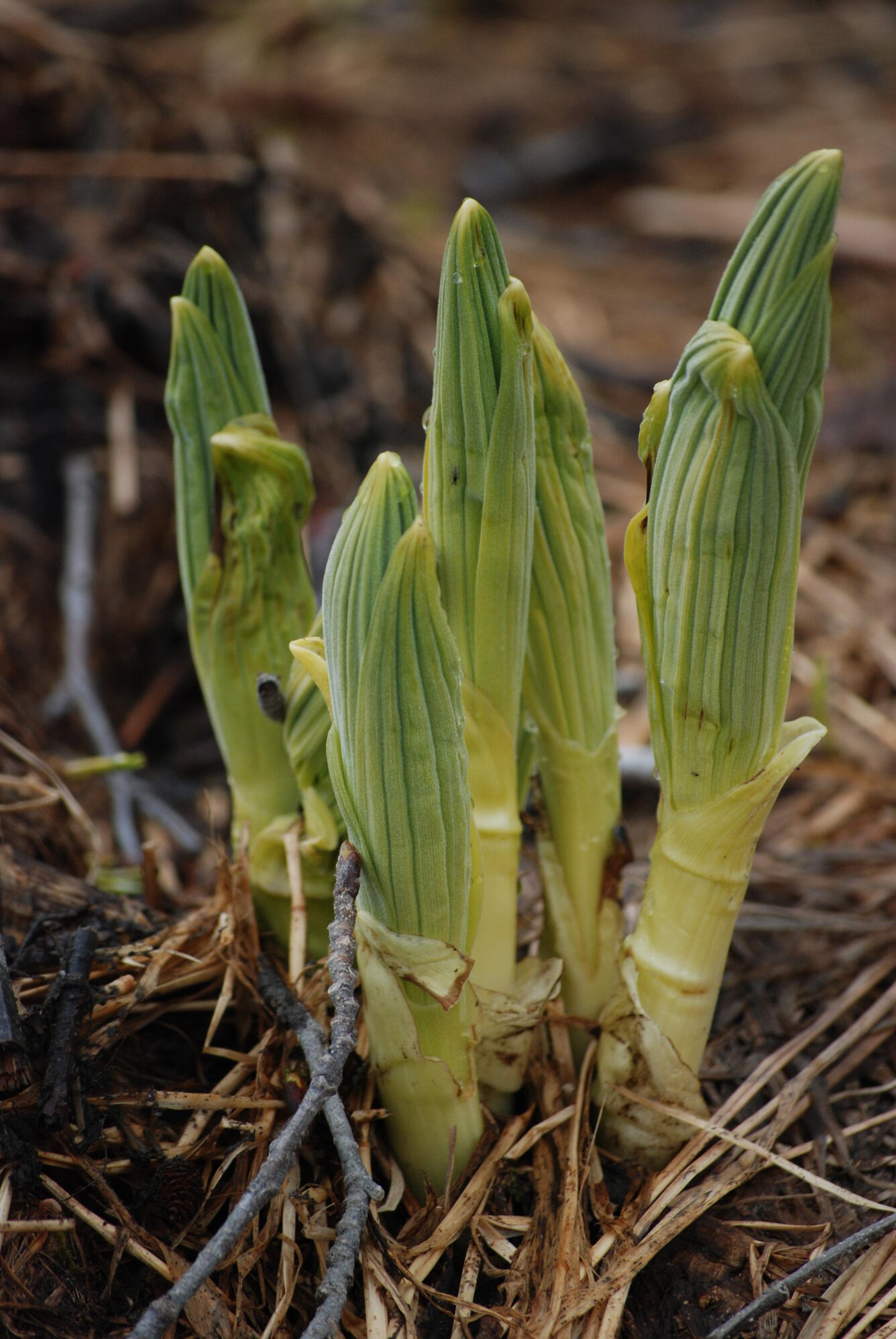 Image: No Title Available