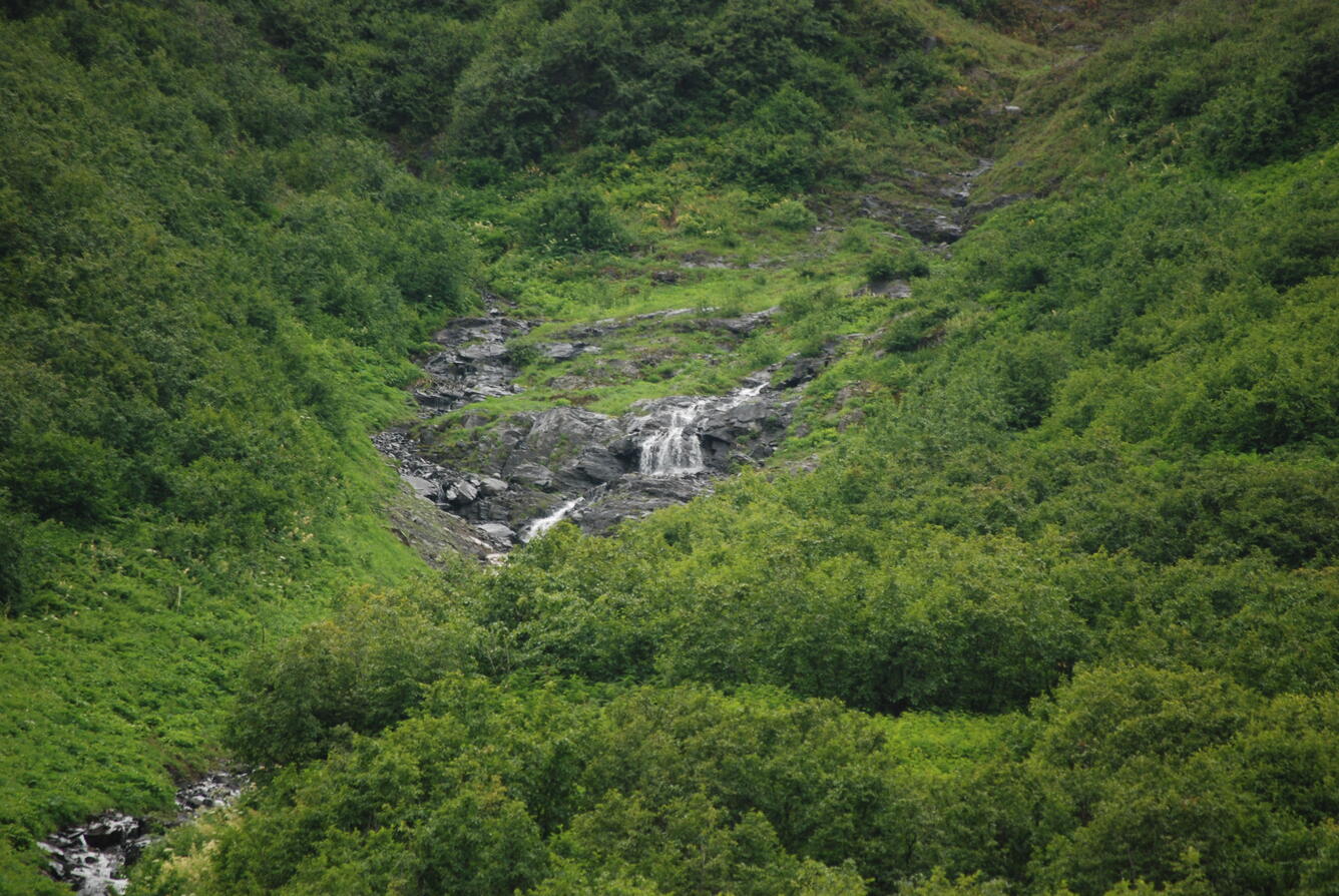 Image: No Title Available