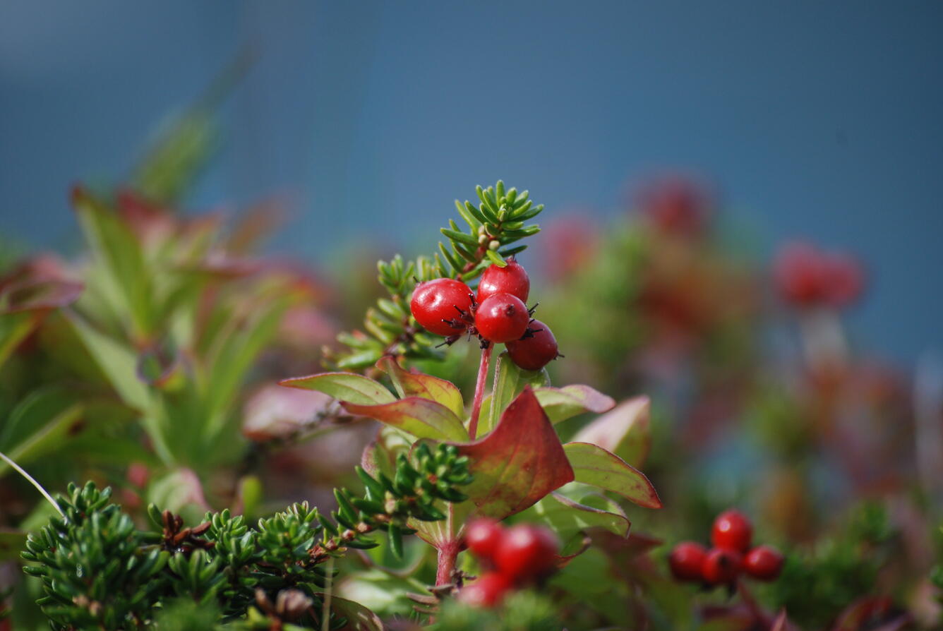 Image: No Title Available