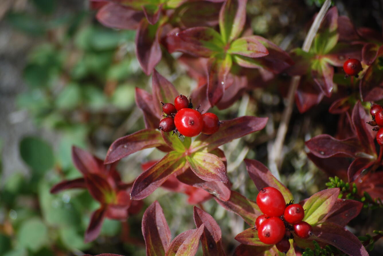 Image: No Title Available