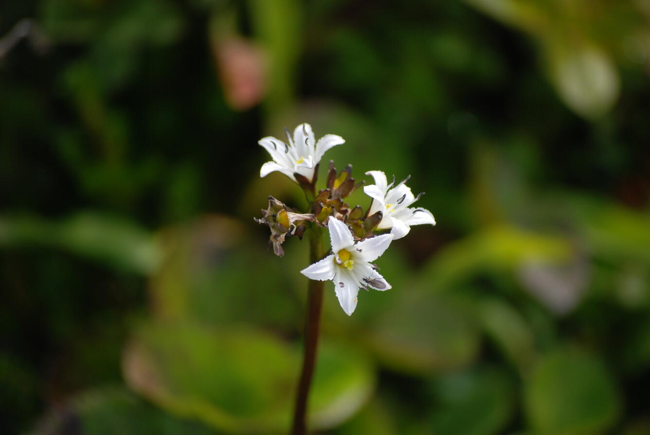 Image: No Title Available