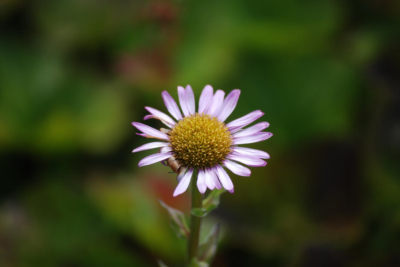 Image: No Title Available