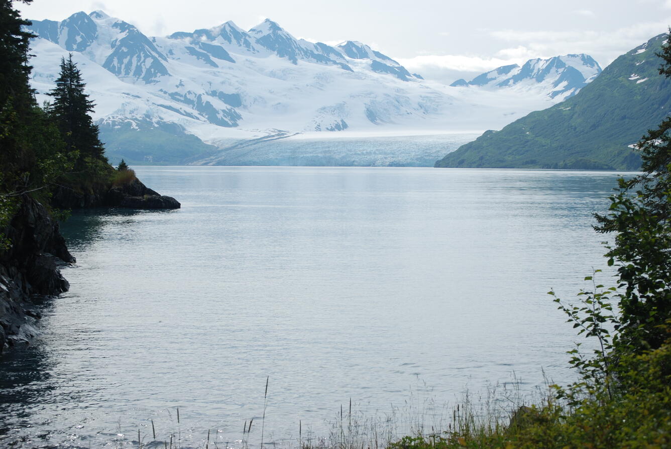 Image: No Title Available