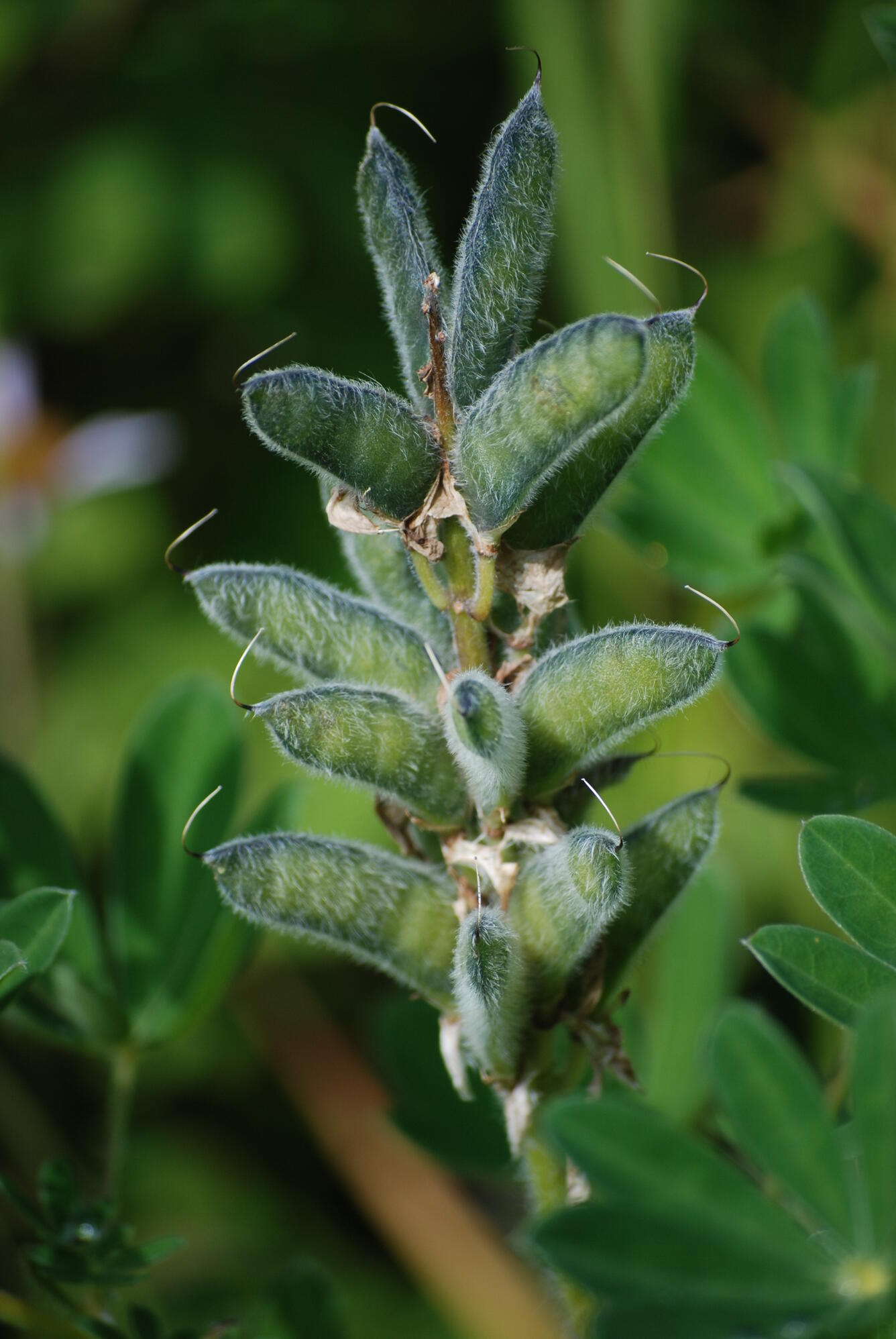 Image: No Title Available